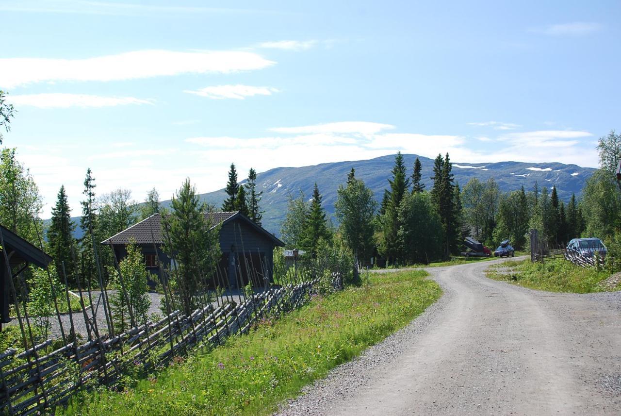 Ottsjoe Bear Lodge Екстер'єр фото